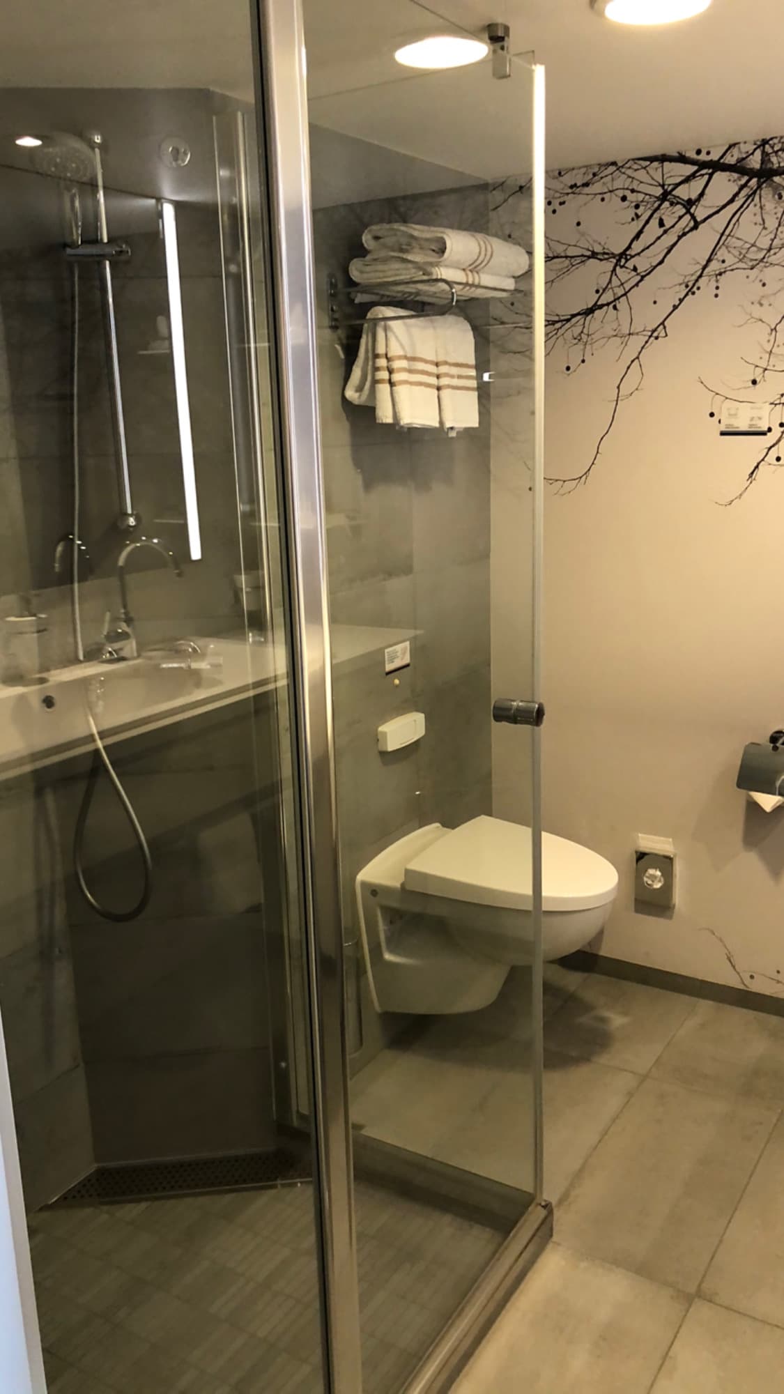 Mein Schiff Suite — Glasdusche mit Regendusche und WC
